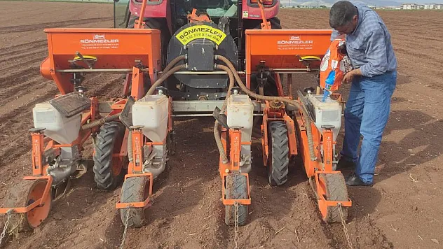 Araban Ovası'nda pamuk ekimine başlandı