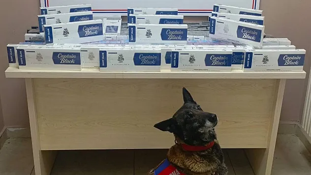 Bin 400 paket kaçak sigara