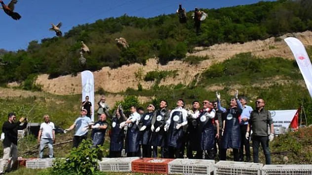 Doğaya 800 sülün salındı