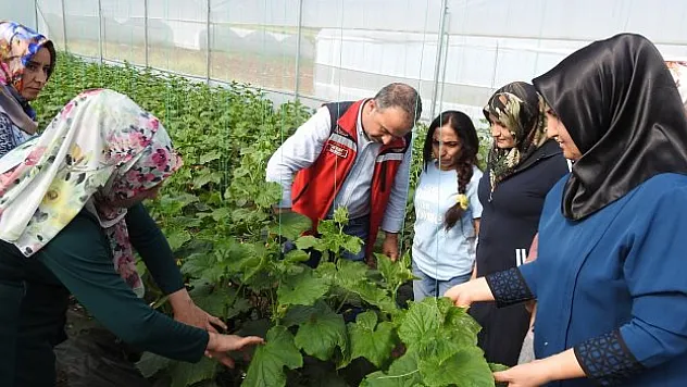 'Seracı Kadınlar Güçleniyor'