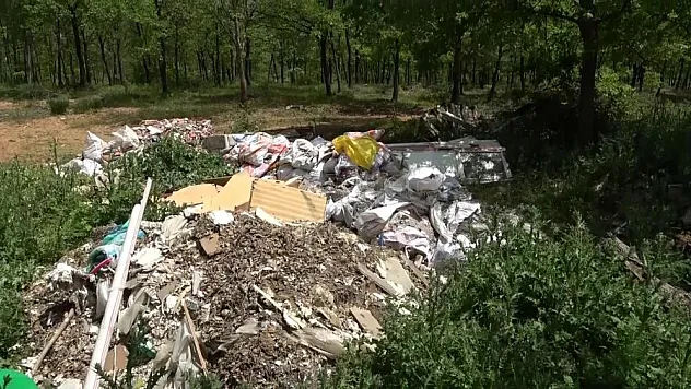 Şile'de ormanlık alanlar çöpten geçilmiyor