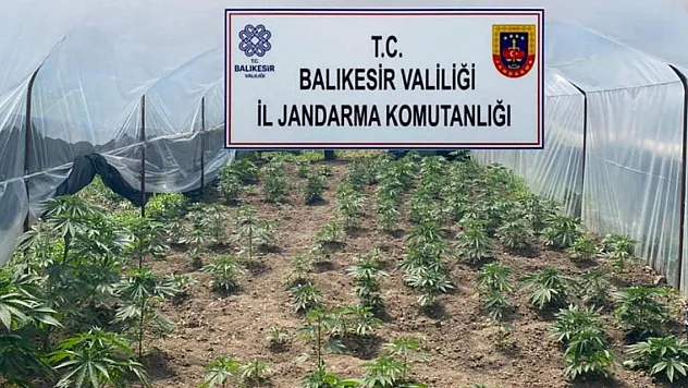 Balıkesir'de geniş çaplı operasyon