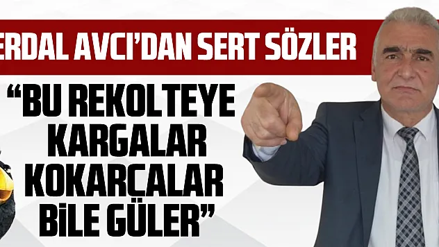 Erdal Avcı'dan sert sözler  'Bu rekolteye Kargalar, Kokarcalar Bile Güler'