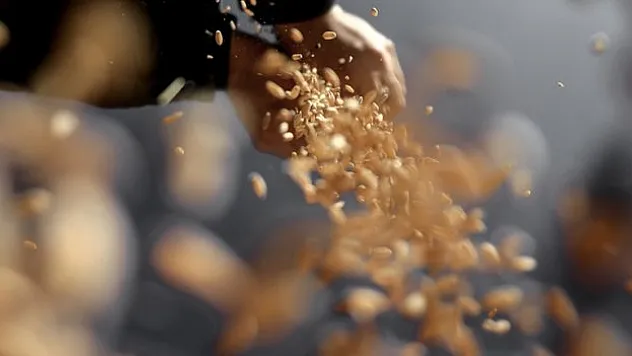 Sektörünün kalbi İstanbul'da zirvede atacak