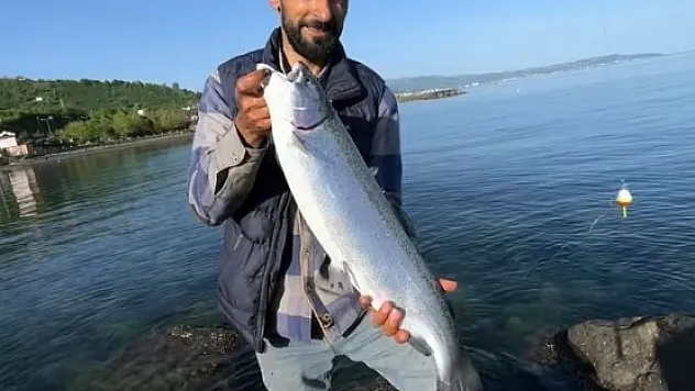 Kafesten kaçtılar ama oltadan kaçamadılar