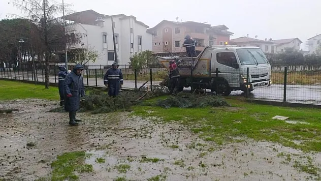 Ordu'da fırtına 12 çatıyı uçurdu
