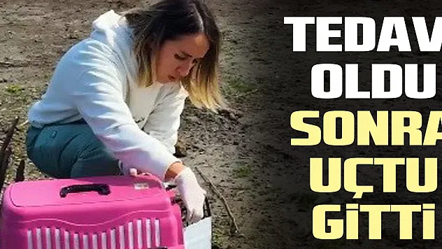 TEDAVi OLDU SONRA UÇTU GiTTi