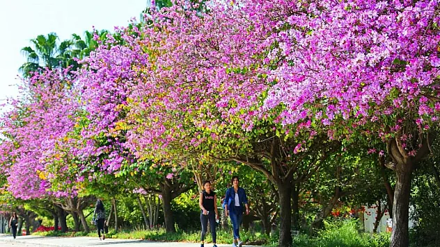 Çevre Hizmet Ödülleri açıklandı
