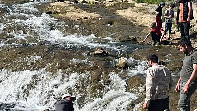 İnci kefalinin göçü ziyaretçilerin ilgi odağında