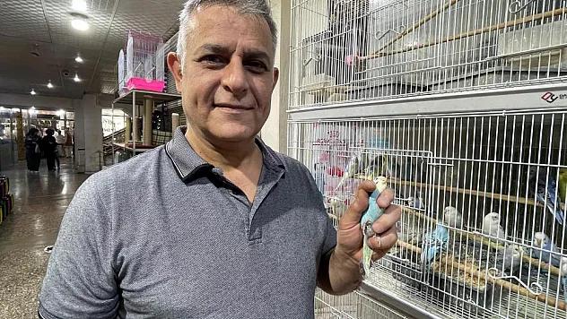 Evcil hayvan severlerin gözdesine yoğun ilgi