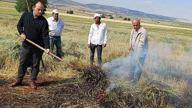 Firik sezonu başladı