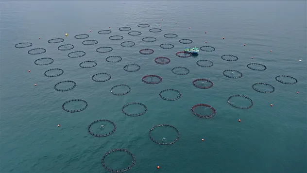 Doğu Karadeniz'in su ürünleri ihracatı 47,8 milyon doları aştı