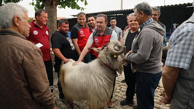 Kurban pazarlarında sağlık ve hijyen kontrolü