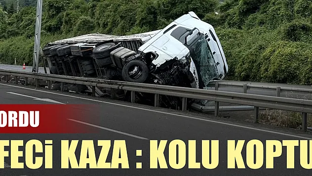 Ordu'da Feci kaza : kolu koptu