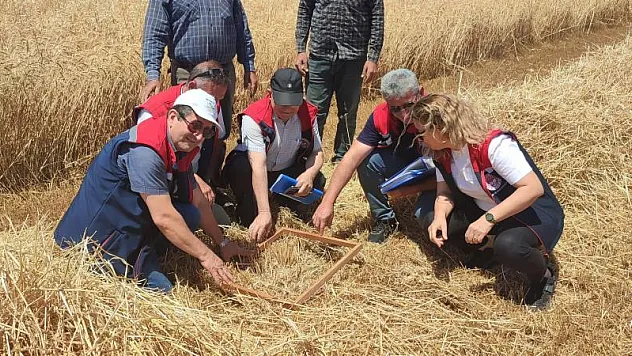 Aydın'da dane kaybı kontrolleri gerçekleştirdi