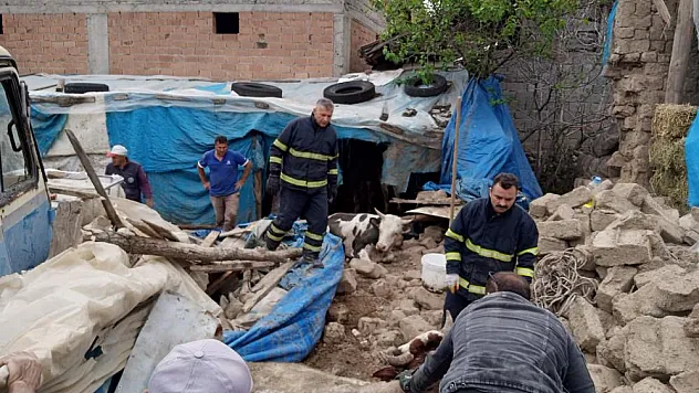Amasya'da ahır çökünce hayvanlar göçük altında kaldı