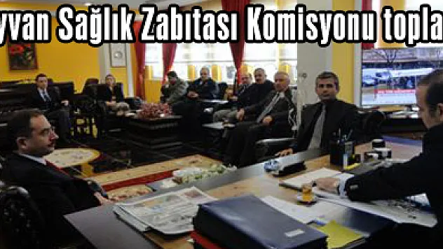 Hayvan Sağlık Zabıtası Komisyonu toplandı