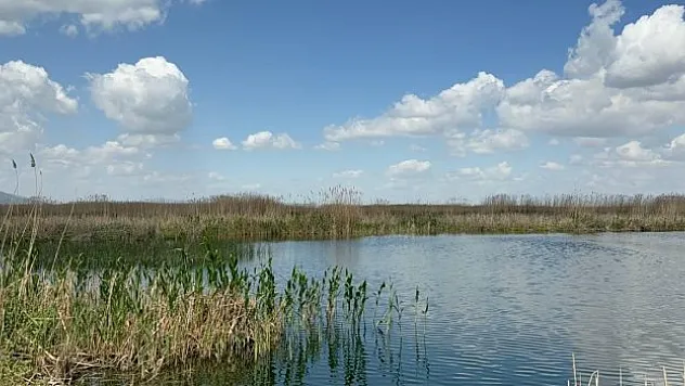 Eber Gölü'nde su seviyesi azaldı