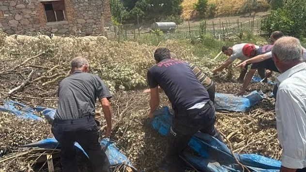 Çardak dam çöktü,  2 koyun telef oldu