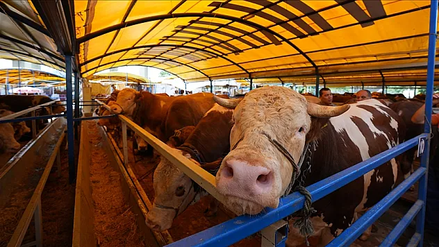 Kurbanla ilgili merak edilenler