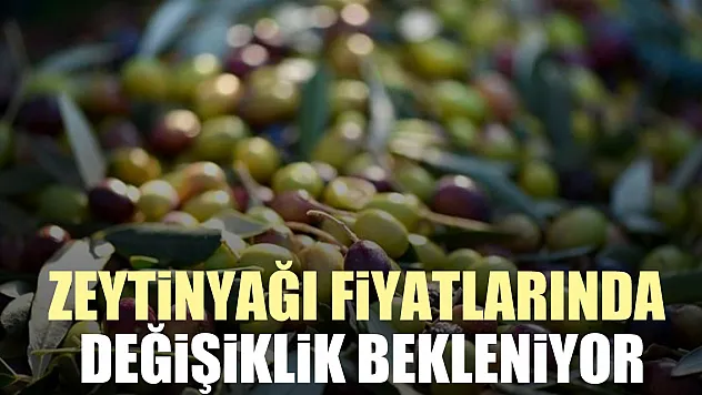Zeytinyağı fiyatlarında değişiklik bekleniyor