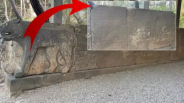 Milyonlarca dolarlık sırlar Osmaniye'de saklı!