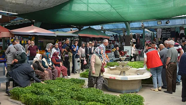 Çiftçilere 40 bin ücretsiz sebze fidesi dağıtıldı