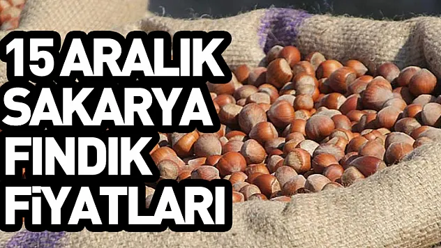 15 Aralık Sakarya Fındık Fiyatları | Marmara–Karadeniz Hattında Talep Canlı