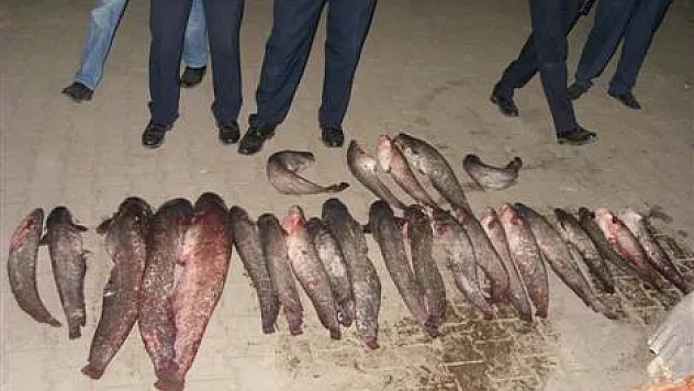 Kaçak Avlanan Balıkçılar Suçüstü Yaklandı