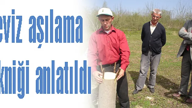 Ceviz aşılama tekniği çiftçilere anlatıldı