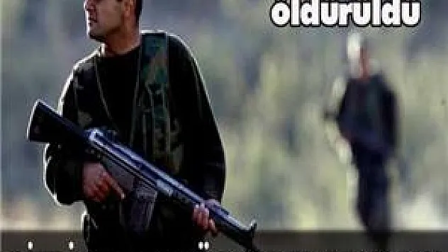 Bitlis'te terör operasyonu