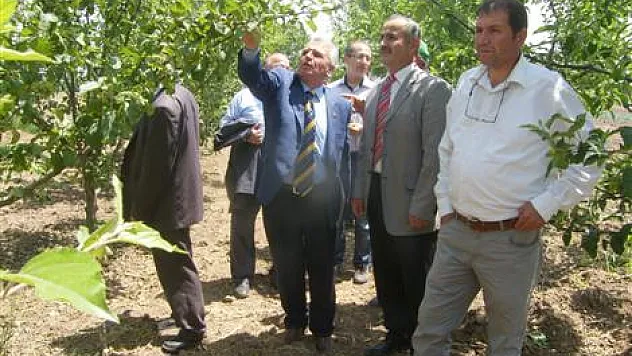 İl Genel Meclis Üyeleri Meyve Bahçelerini Gezdi