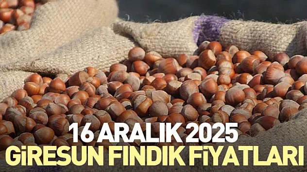 16 Aralık Giresun Fındık Fiyatları