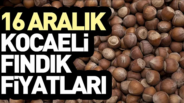 16 Aralık Kocaeli Fındık Fiyatları