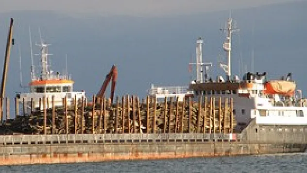 Doğu Karadeniz'de Tarım İhracatı