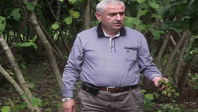 Başkan Güngör Felaket Bölgesinde…