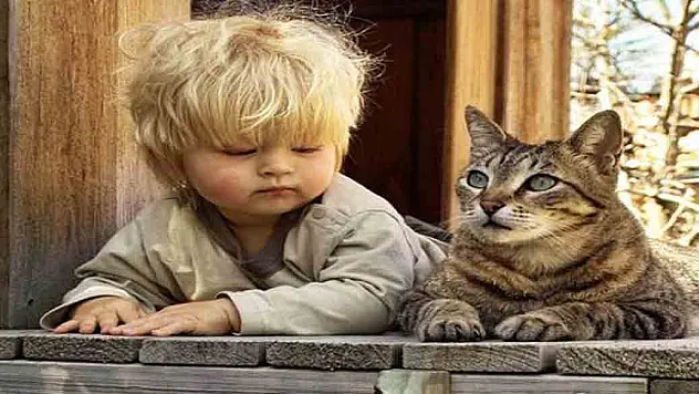 Kedi ve köpek bebekleri koruyor