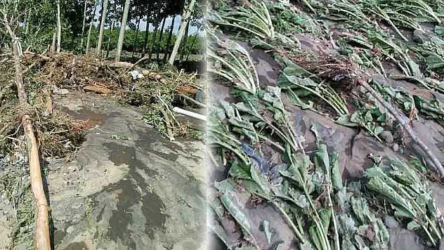 SELDEN TARIM ALANLARI DA ZARAR GÖRDÜ