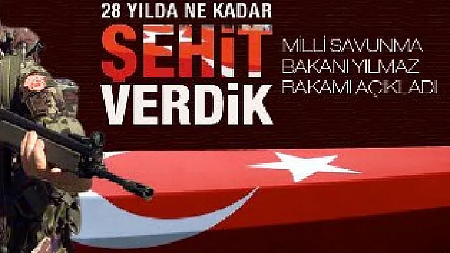 İşte 28 yılda verdiğimiz şehit sayısı
