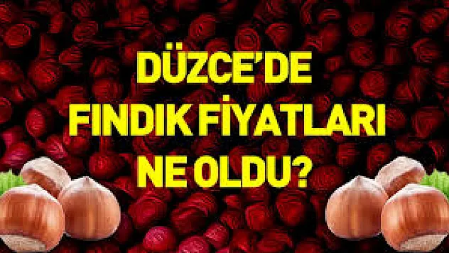 17 Aralık Düzce Fındık Fiyatları