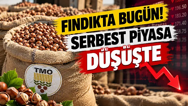 17 Ekim serbest piyasa fındık fiyatlarında son durum