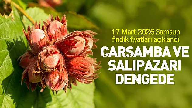 17 Mart 2026 Samsun fındık fiyatları açıklandı | Çarşamba ve Salıpazarı dengede