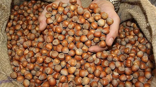 17 Şubat 2026 Zonguldak fındık fiyatları ne kadar?