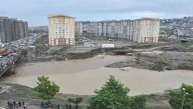 Konsey, sorumlu tuttu