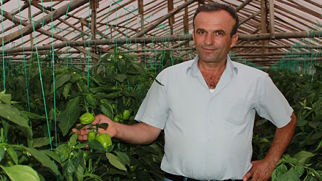 Çarşamba Çiftçisi isyanda