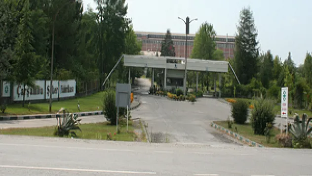 Altın Yumurtlayan tavuk öldürülüyor!