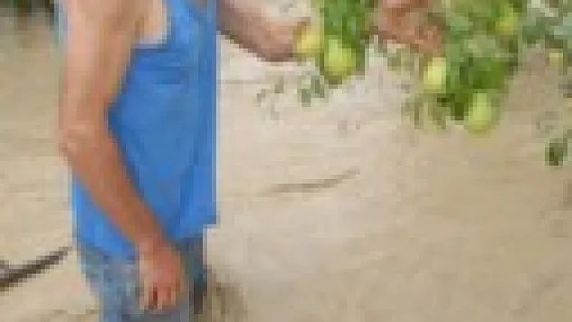 Kürtün Çayı Taştı ve… 