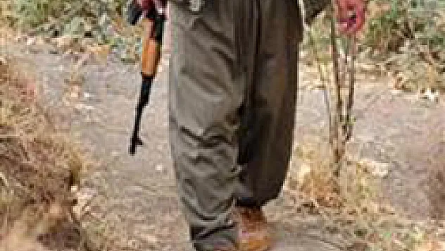 Öldürülen PKK'lıların sayısı 170'e yükseldi