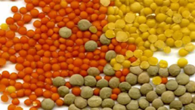 Kırmızı Mercimek, Merkezi Sinir Sistemimizi Koruyor!