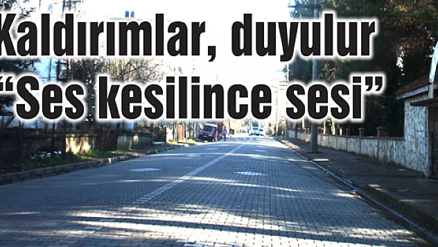 Kaldırım meselesi çığ gibi büyüyor